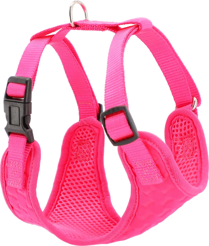 Harnais DINGO Anti-Pressure ajustable 39-51 cm – Rembourrage de Confort