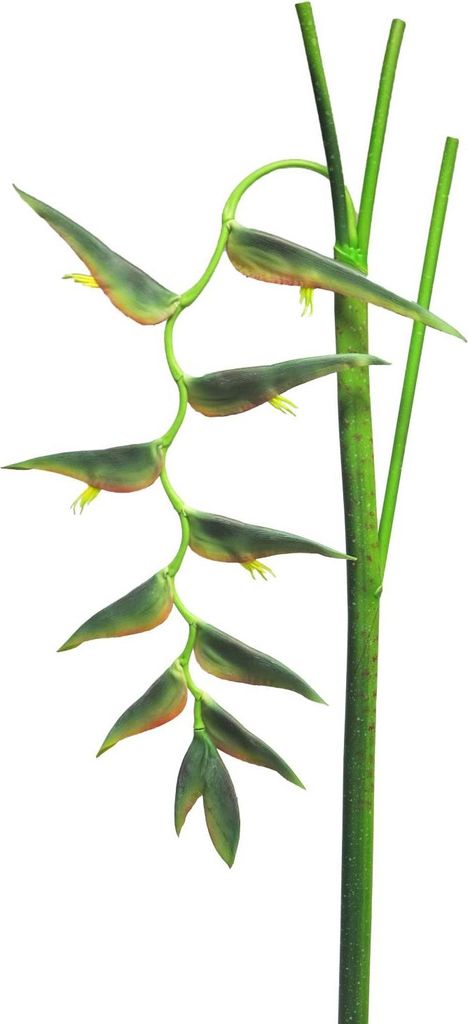 artplants.de Deko Blume Heliconia Blüte Jiang, dunkelgrün, 130 cm - Künstlicher Blumenzweig