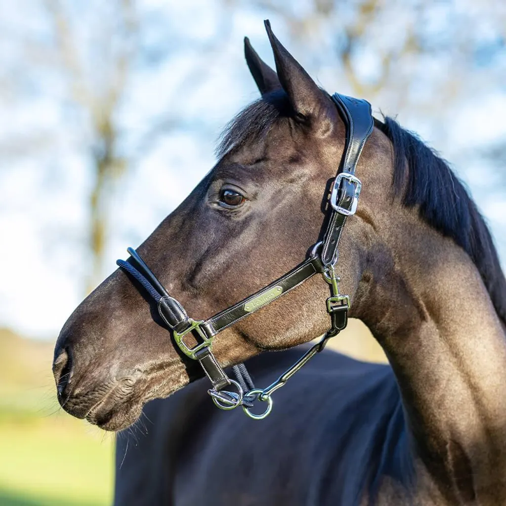 Licol LeMieux Rope Control Noir Cob : Idéal pour l'Éducation au Sol