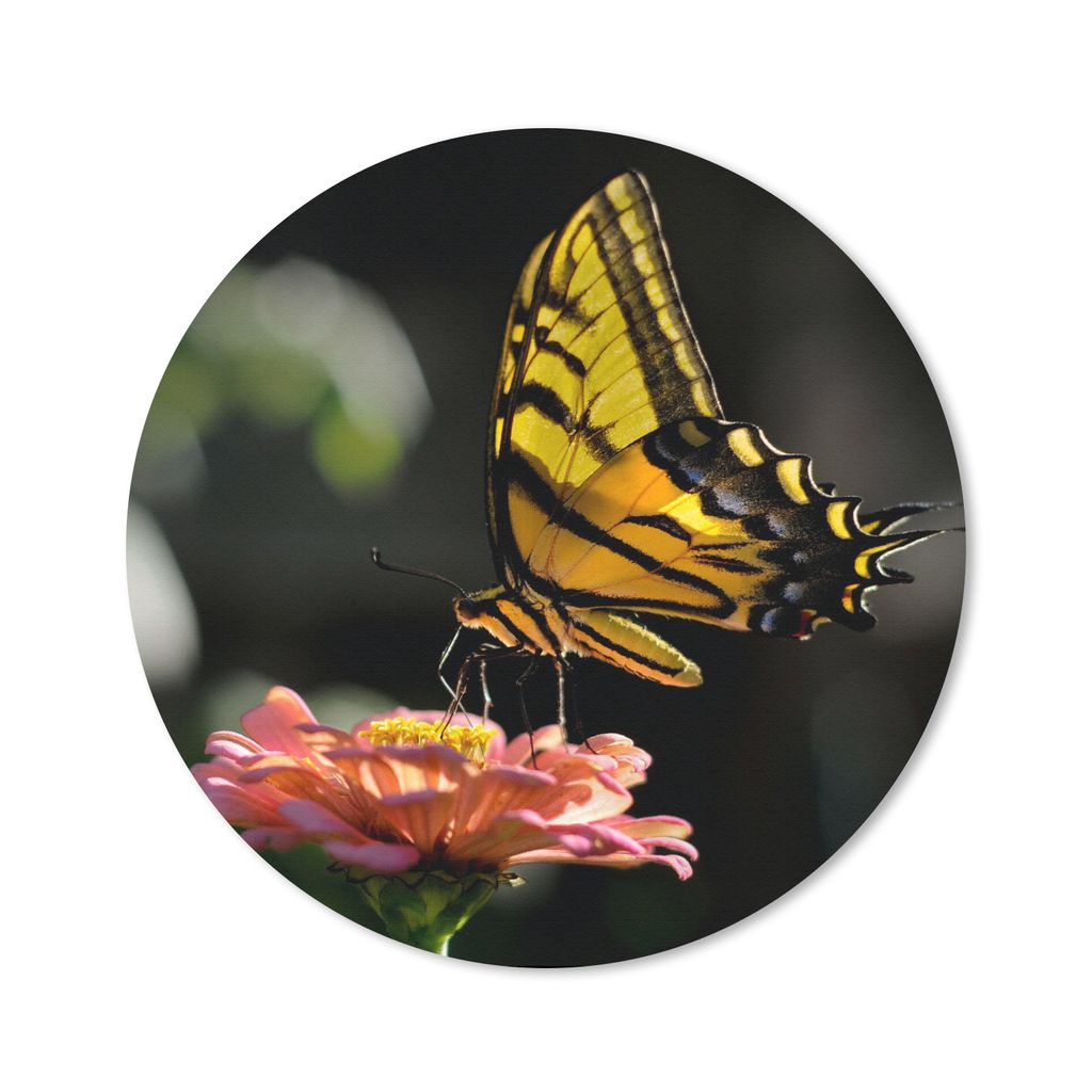 MuchoWow Mauspad Mousepad Schmetterling - Botanisch - Blume 40x40 cm - Mousepads - Maus Mat - Pad - Mausunterlage - Schreibtisch Accessoires