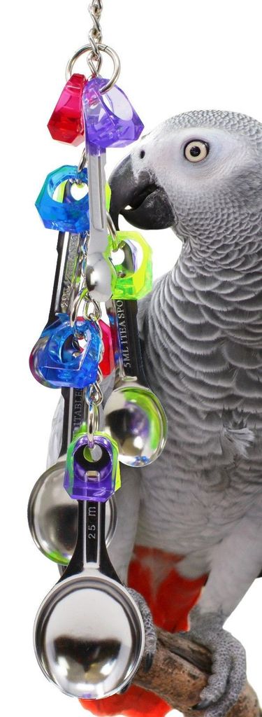 Edelstahl-Glocke Spielzeug Für Papageien & Vögel | Größen S & L | Robust, Leicht Zu Reinigen | Für Graupapageien, Aras, Kakadus