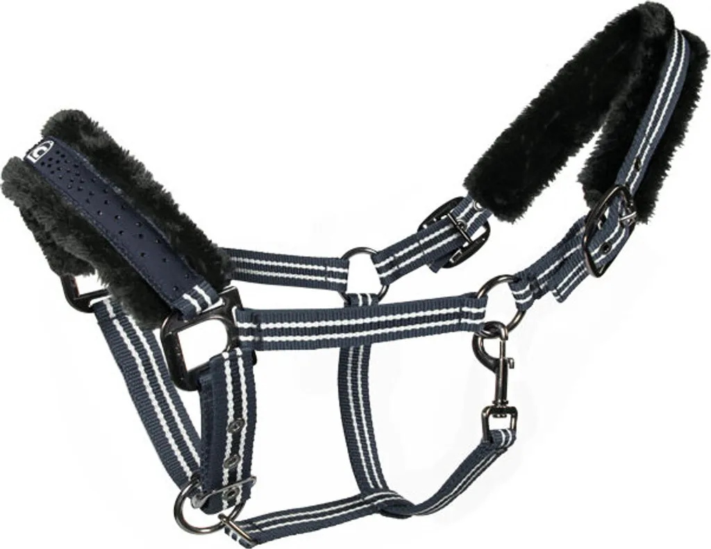 Licol de transport Cavallo HINDA bleu foncé Horsefashion Taille WB