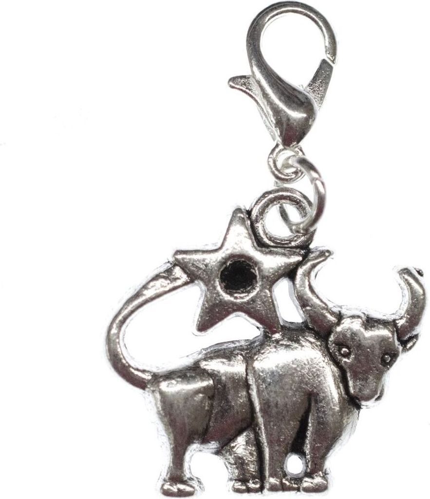 Stier Charm Miniblings Anhänger Bettelanhänger Stern Sternzeichen Horoskop