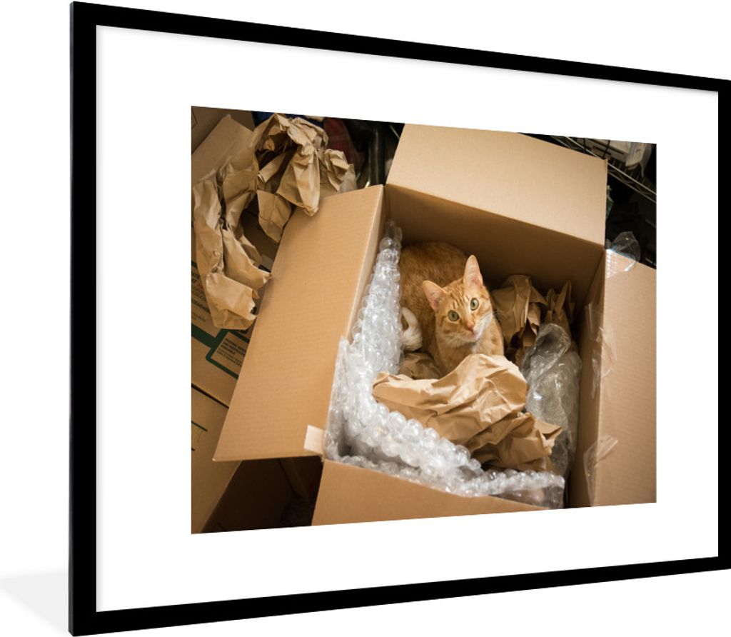 MuchoWow MuchoWow Gerahmtes Poster Katze - Box - Rot 80x60 cm - Poster mit zchwarzem Bilderrahmen - Schlafzimmer-Dekorationen - Fotoposter