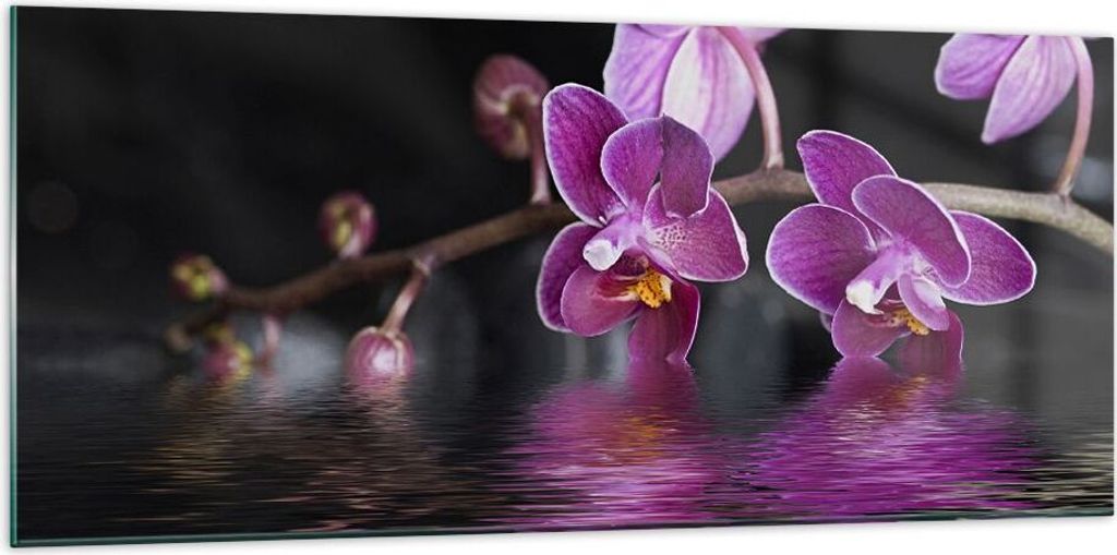 Bilder auf glas - Asien exotisch orchidee blume - 120x50cm - Glasbilder - Wandbilder - Kunstdruck - zum Aufhängen bereit - Wanddekoration aus Glas...