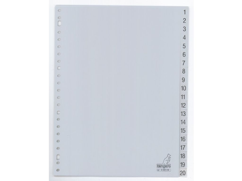 Kangaro G420CM, Grau, Polypropylene, A4