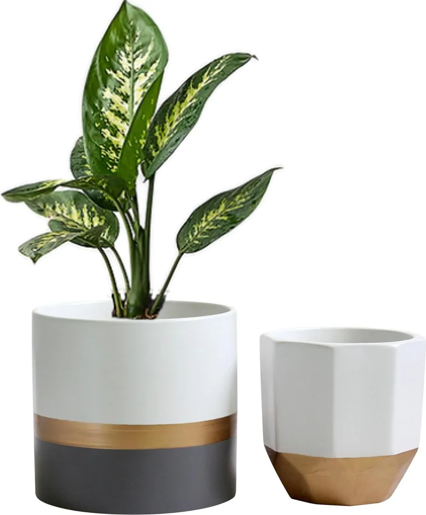 Salih Set de 2 pots à plantes en céramique gris et or - Style élégant