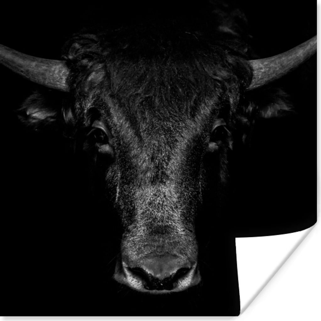MuchoWow Poster Taurus - Tiere - Schwarz - Weiß 75x75 cm - Wand Dekoration