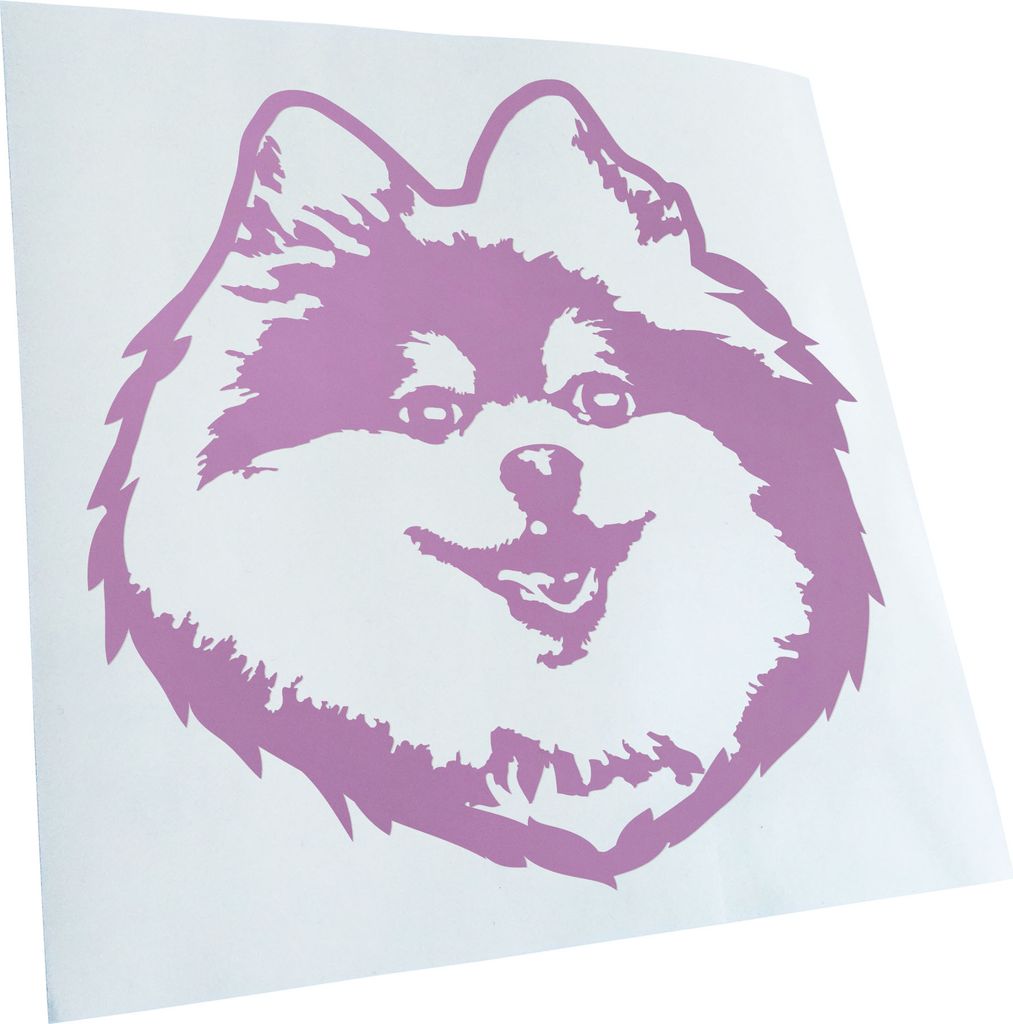Kiwistar - Autoaufkleber - Pomeranian Hund - Pink - 10x10cm - Aufkleber für Auto, Laptop, Fahrrad, LKW, Motorrad mehrfarbig JDM Decal Racing