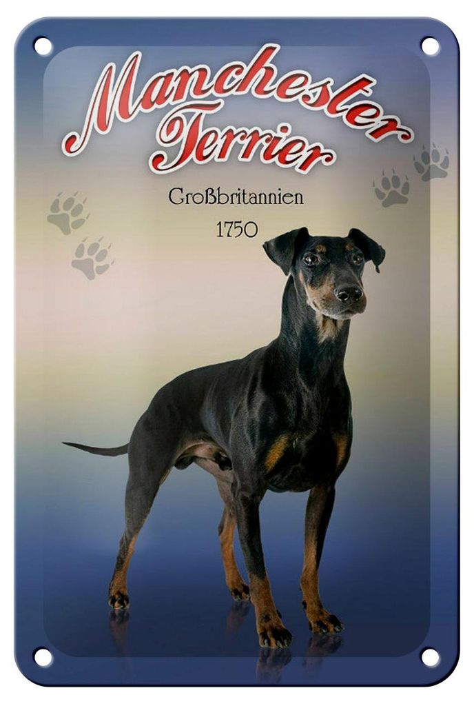 Blechschild Hund 12x18cm Manchester Terrier Großbritannien Produktbild 