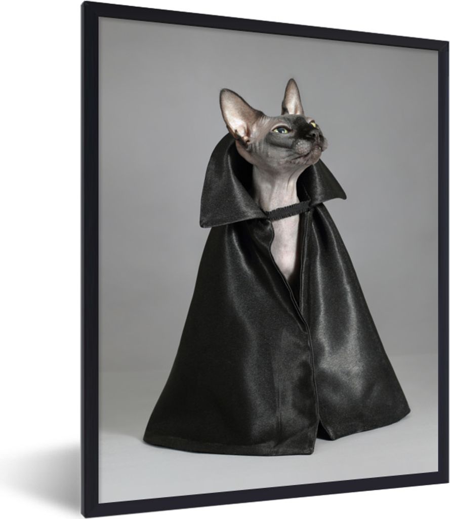 MuchoWow MuchoWow Gerahmtes Poster Komische Sphynx im schwarzen Mantel 30x40 cm - Poster mit zchwarzem Bilderrahmen - Wanddeko - Kunstdrucke