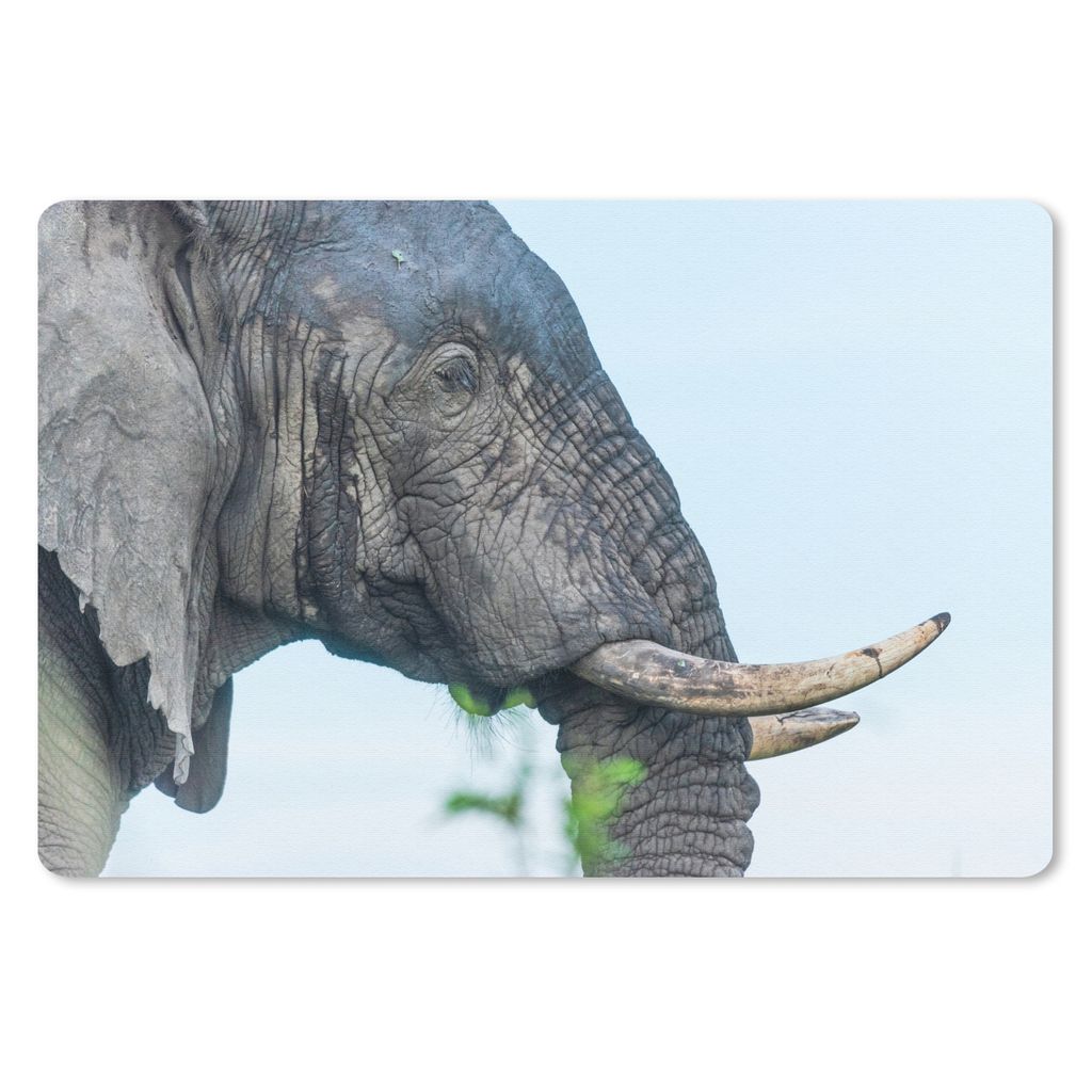MuchoWow Schreibtischunterlage Elefant - Tiere - Grau - Natur 60x40 cm - XXL Mauspad - Großes Mauspad