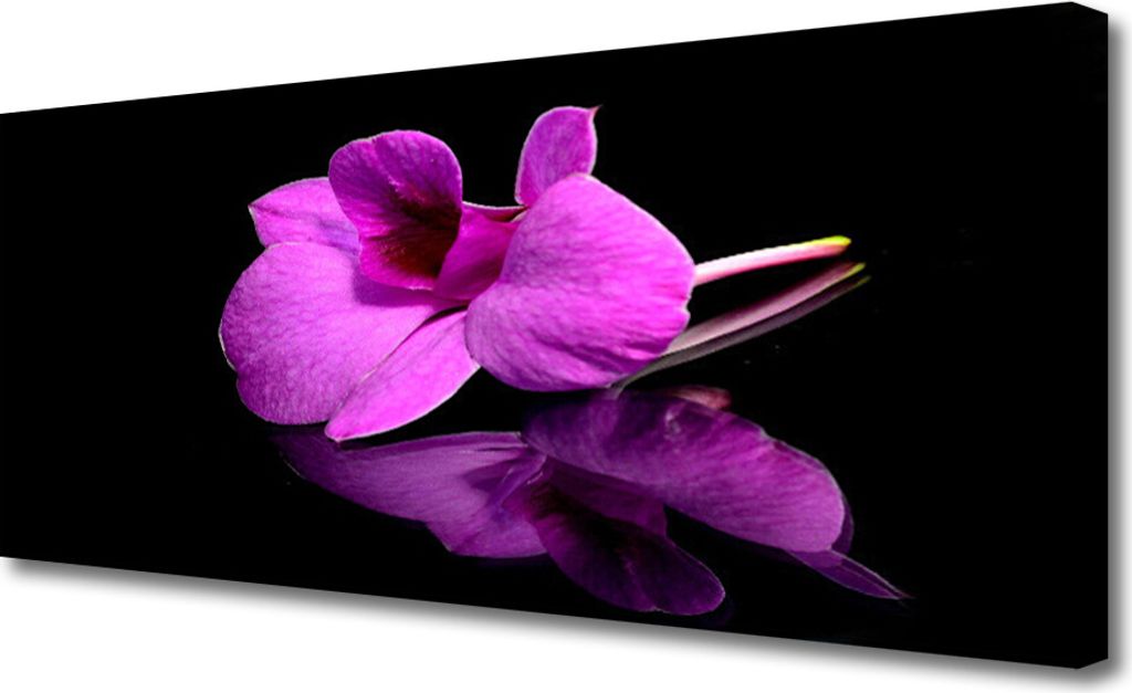 Tulup Leinwand-Bilder 125x50 Wandbild Canvas Kunstdruck Blume Pflanzen
