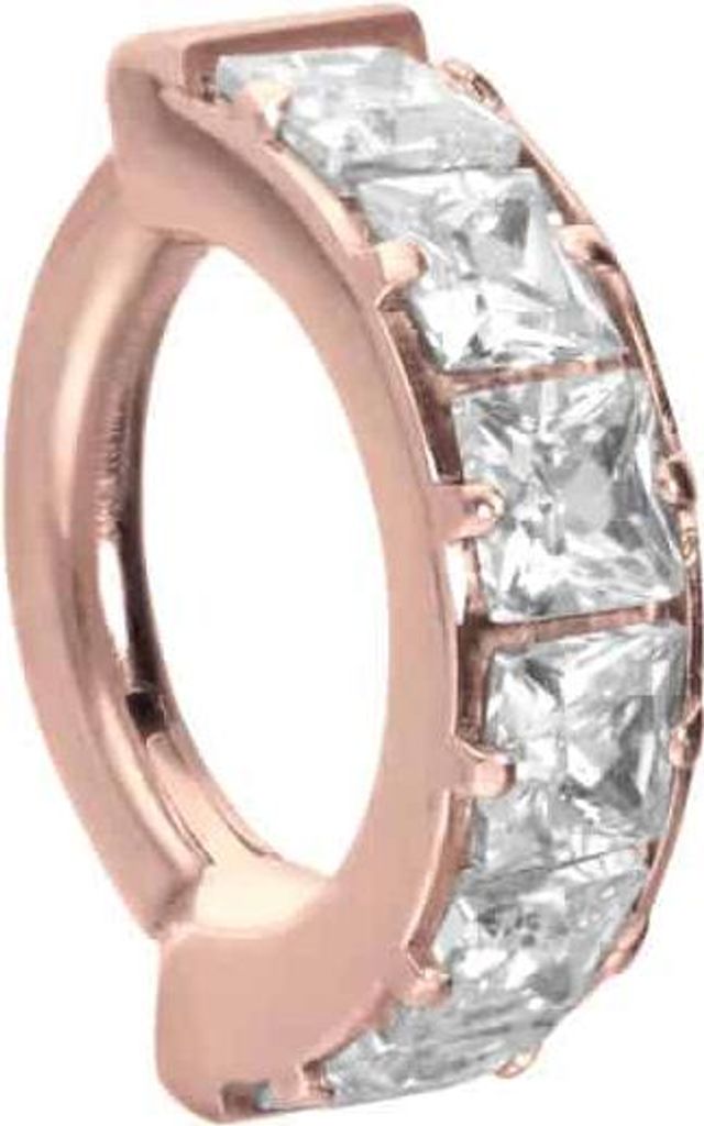 Ohrpiercing, Nasenpiercing, Septum Piercing Titan Segmentring Clicker EINGEFASSTE KRISTALLE RoséGold Innendurchmesser: 6 mm