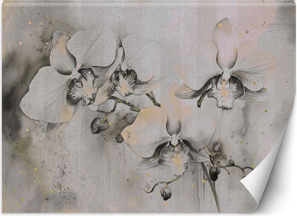 Vlies fototapete Blühende Orchideen Abstraktion 150x105 cm Feeby Grau inkl. Kleber einfache Montage