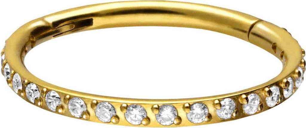 Ohrpiercing, Nasenpiercing, Septum Piercing Titan Segmentring Clicker EINGEFASSTE KRISTALLE Gold Innendurchmesser: 11mm + Stabstärke: 1,2mm