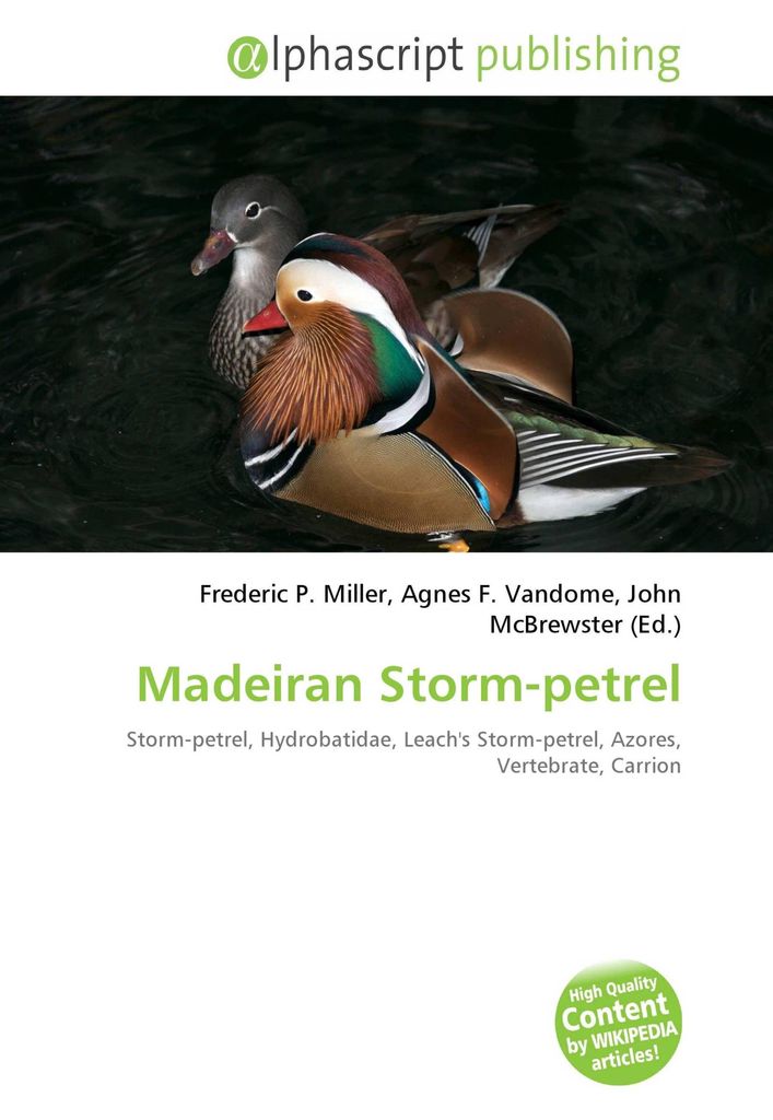 Madeiran Storm-petrel