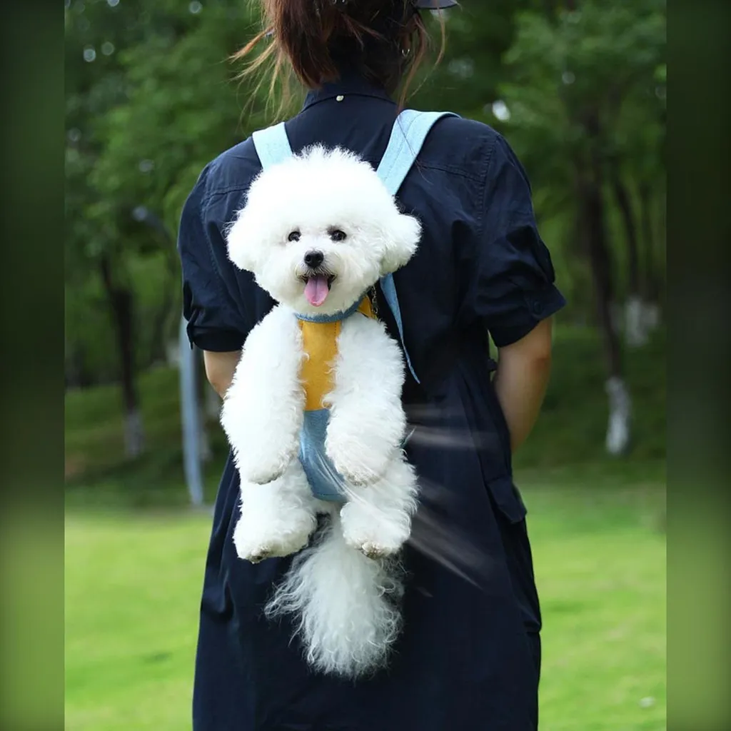 Zaino INF XL Blu e Giallo per Cani e Gatti - Comodo e Sicuro - 2