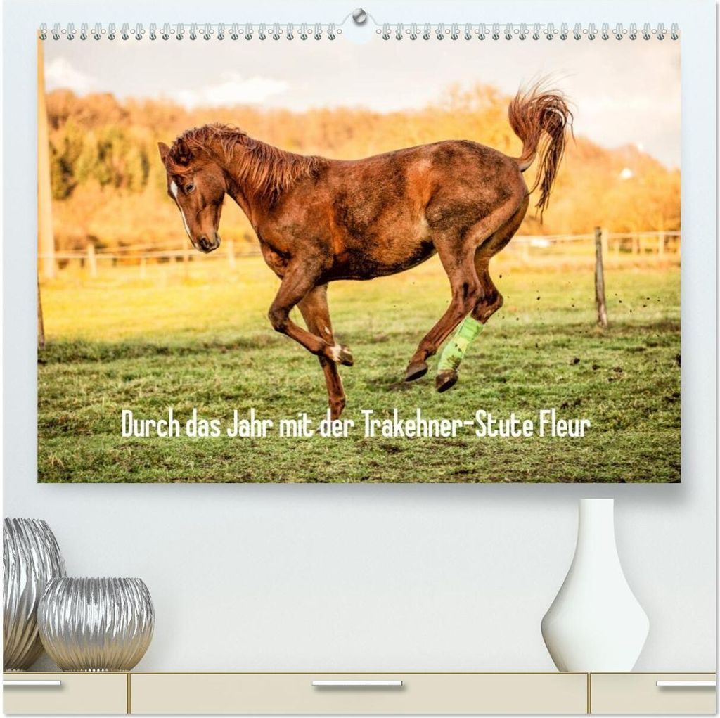 Durch das Jahr mit der Trakehner-Stute Fleur (hochwertiger Premium Wandkalender 2026 DIN A2 quer), Kunstdruck in Hochglanz
