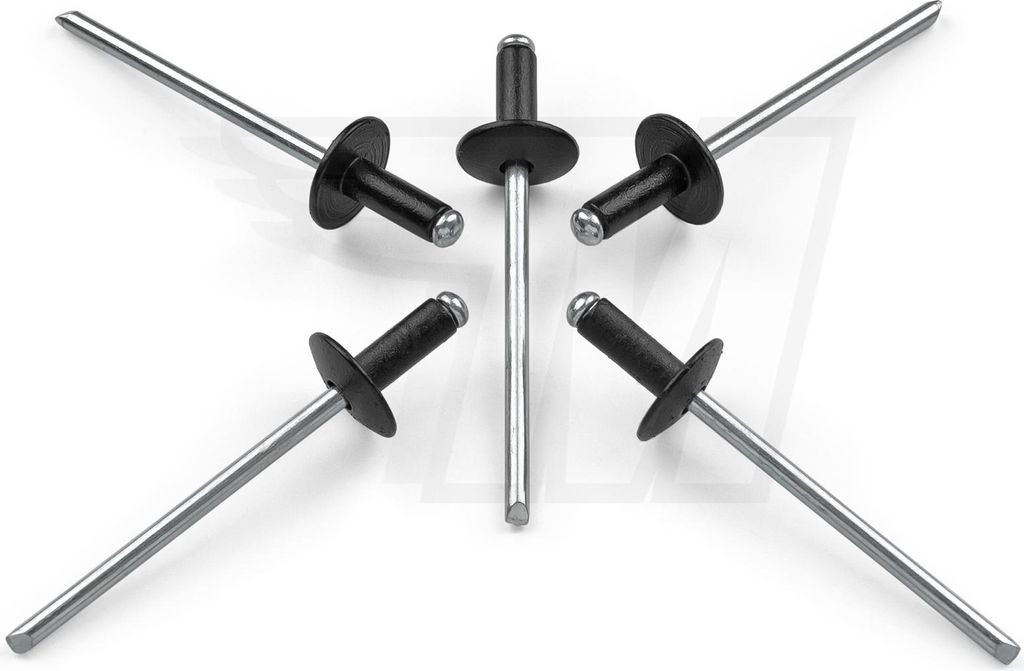 10x Blind Niet 3 x 10 mm für Ford | N805759-S100