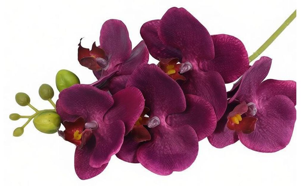Kunstorchideen in naturgetreuer Optik: Künstliche Phalaenopsis-Blüten aus Seide mit 5 Blütenköpfen für die Dekoration von Wohnräumen, Büros ...