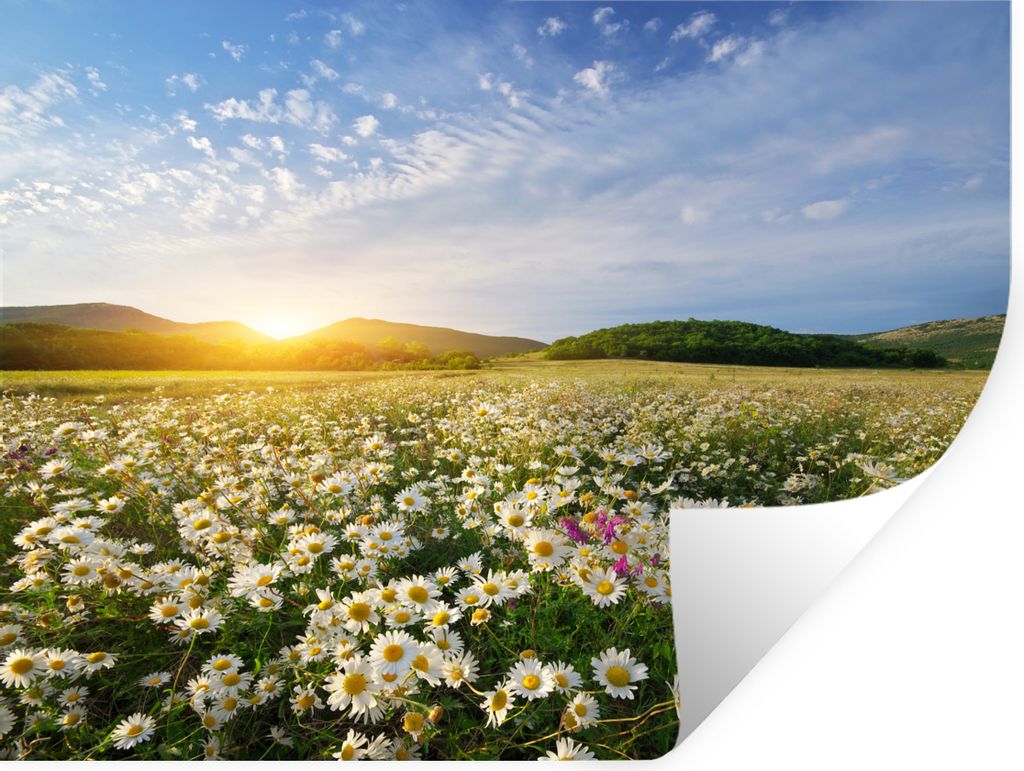 MuchoWow - Aufkleber