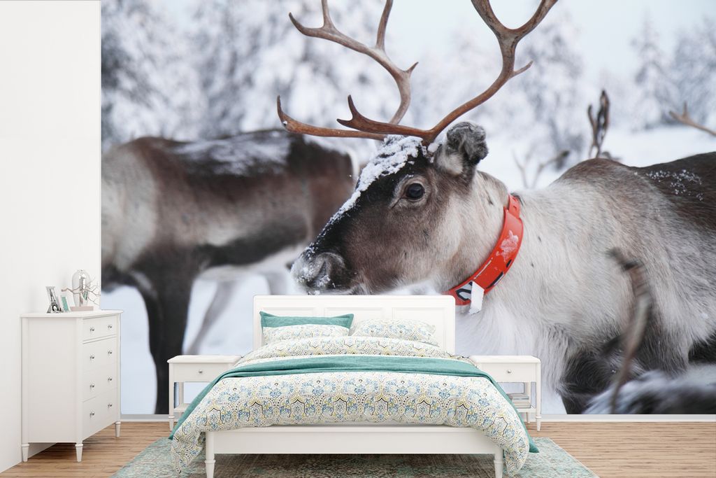 MuchoWow Fototapete für Wohnzimmer oder Schlafzimmer Wandtapete Vinyl Motivtapete Ein Rentier vor einem unscharfen Schneehintergrund - 420x280 c...