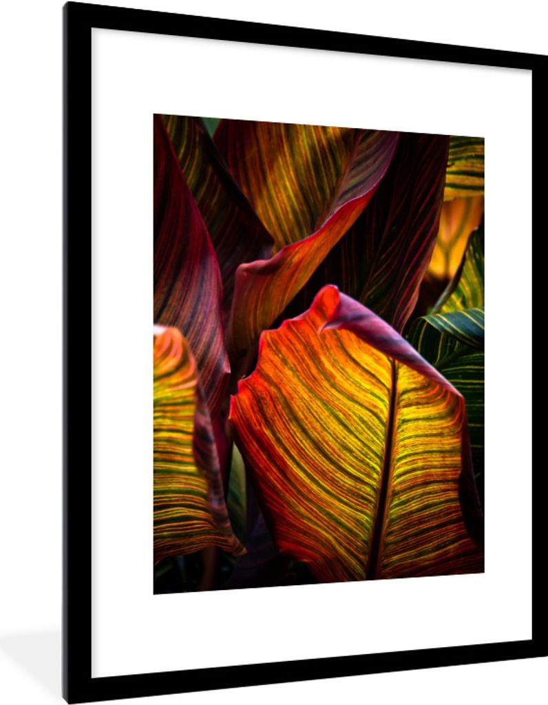 MuchoWow MuchoWow Gerahmtes Poster Blätter - Abstrakt - Farben 60x80 cm - Poster mit zchwarzem Bilderrahmen - Wohnzimmer - Dekorationen - Prämie