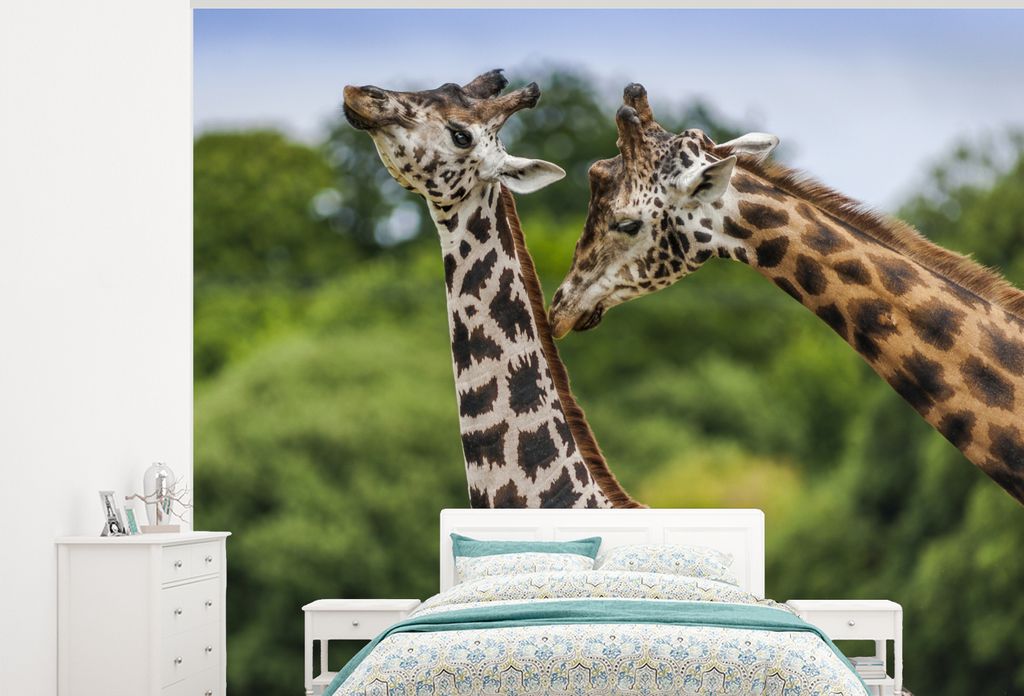 MuchoWow Fototapete für Wohnzimmer oder Schlafzimmer Wandtapete Vinyl Motivtapete Zwei Giraffen vor einem unscharfen Hintergrund - 275x220 cm - ...