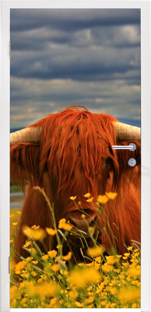 MuchoWow Türtapete Selbstklebende Türfolie Schottischer Highlander - Tiere - Blumen 75x205 cm Türposter Türaufkleber Klebefolie Türklebefoli...