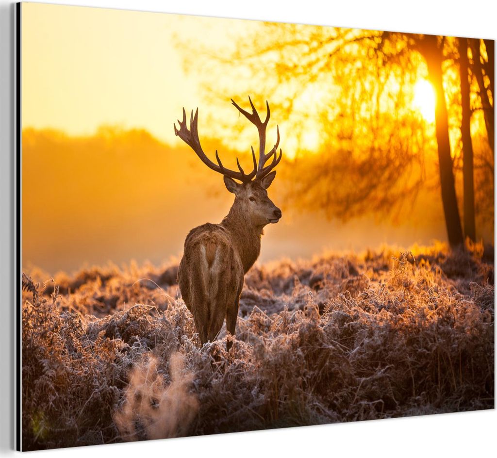 MuchoWow Wanddekoration Metall Metallbild Wandkunst 150x100 cm Hirsche - Tiere - Sonnenuntergang - Winter - Heidekraut - Natur MuchoWow Aluminium G...