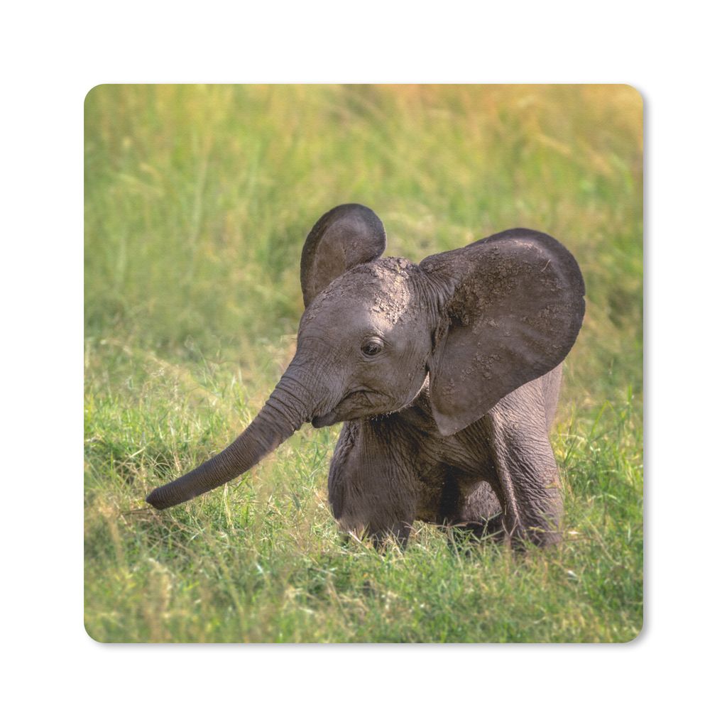 MuchoWow Mauspad Mousepad Elefant - Baby - Kalb 30x30 cm - Mousepads - Maus Mat - Pad - Mausunterlage - Gaming