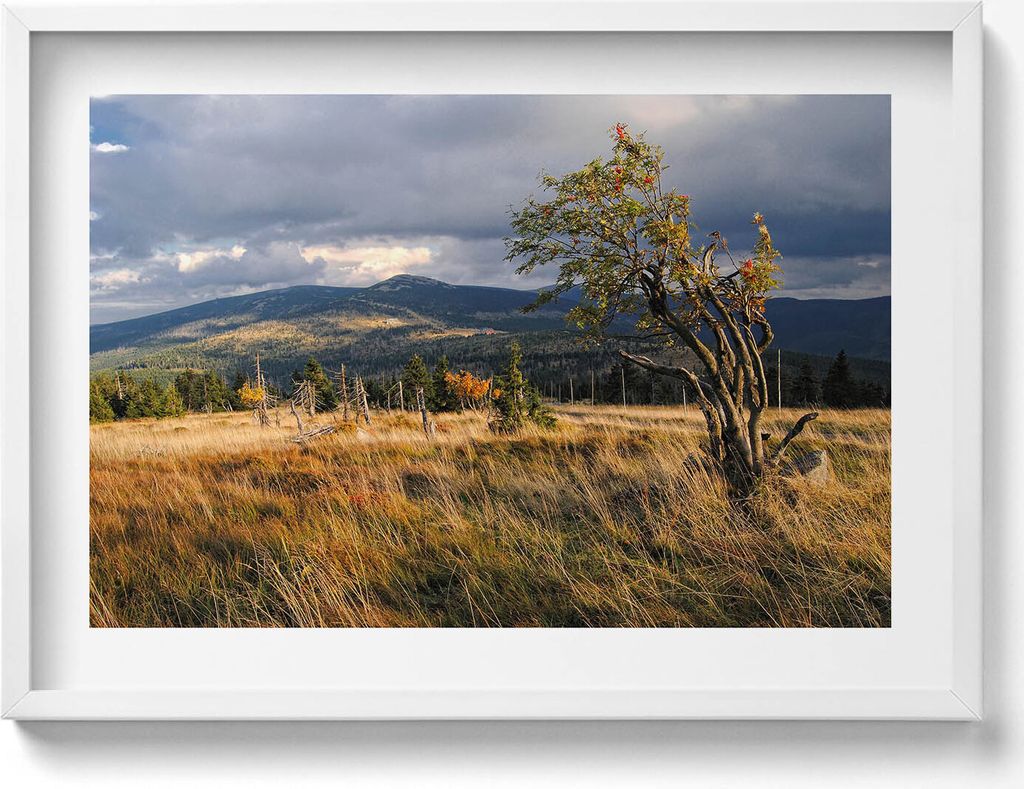 Riesengebirge im Herbst– Wandbild mit Rahmen – Gerahmtes Bild – Wanddekoration – 70x50 cm – Weiß Rahmen