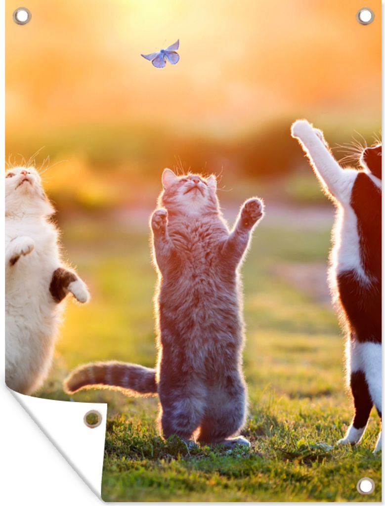 MuchoWow 90x120 cm Outdoor-Poster Gartendeko Sichtschutz Garten Poster für den Garten Katzen - Schmetterling - Sonnenuntergang - Gras - Natur