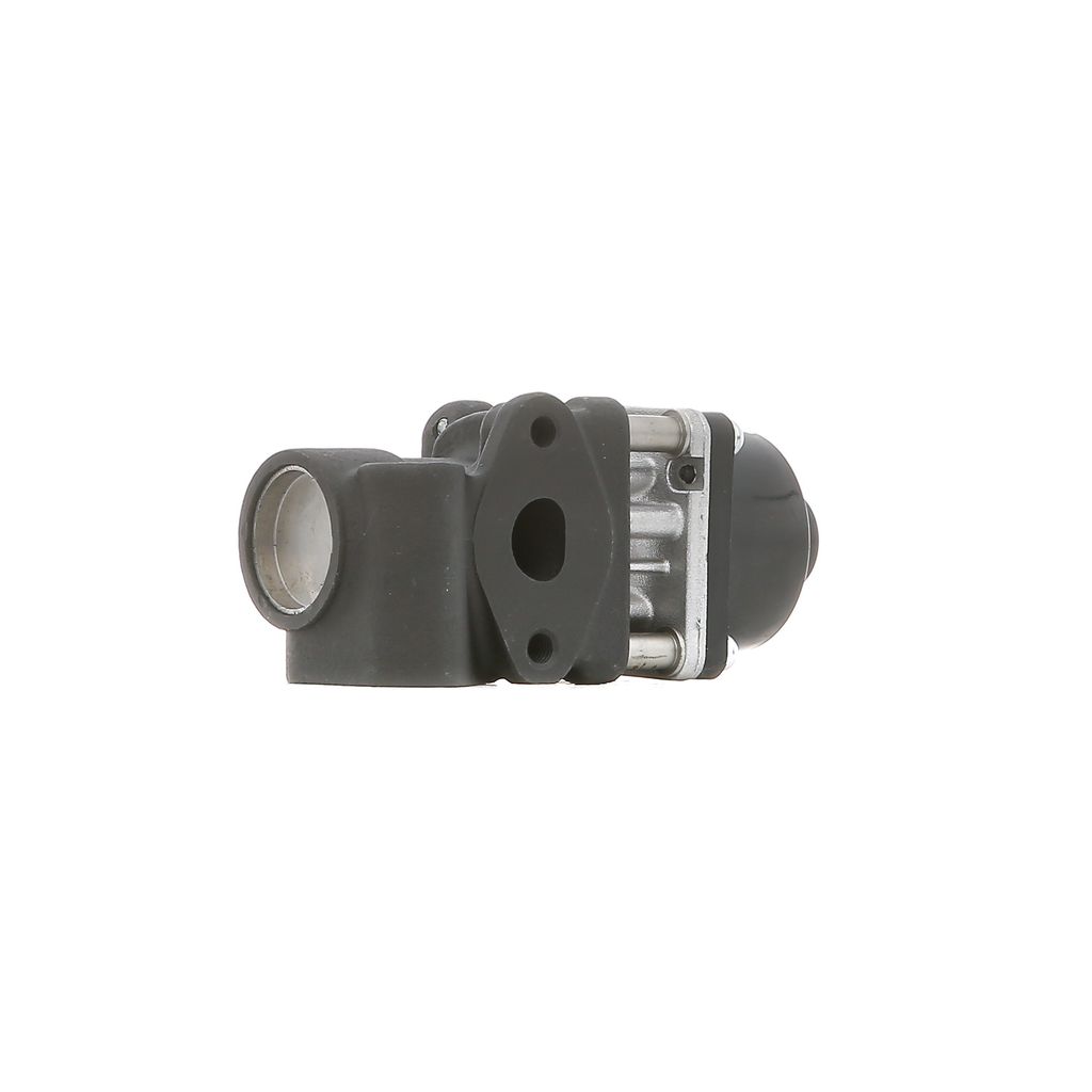 DELPHI EG10454-12B1 AGR-Ventil für FIAT Sedici (FY) Abgasrückführungsventil