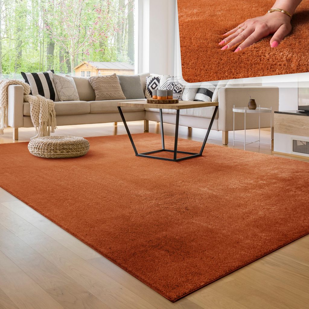 Moderner Wohnzimmer Teppich Kurzflor Waschbar Weich Produktbild 