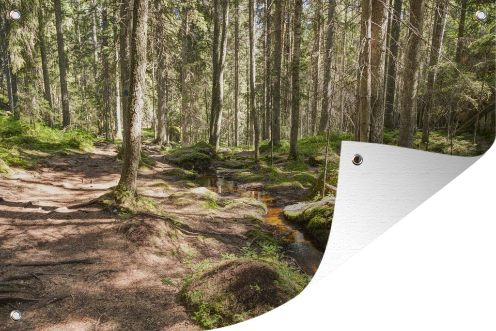 MuchoWow 120x80 cm Outdoor-Poster Gartendeko Sichtschutz Garten Poster für den Garten Grüne Bäume im bunten Wald des Nuuksio-Nationalparks in ...