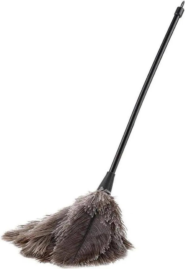 Plumeau en autruche naturel avec manche long pour nettoyage antistatique