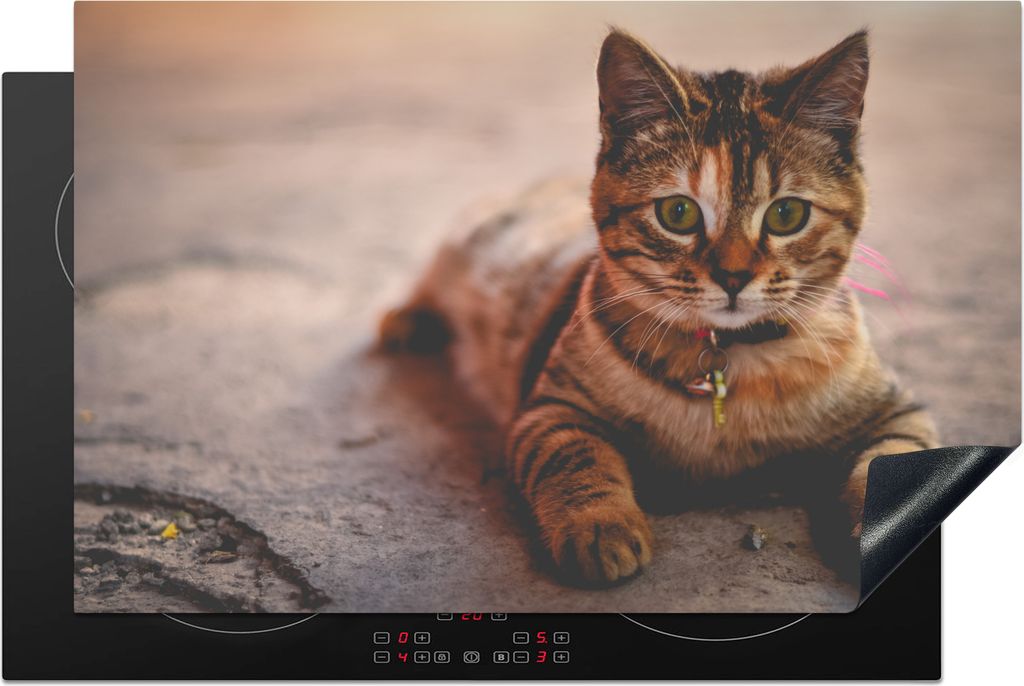 KitchenYeah Herdabdeckplatte Katze - Kleid - Halsband , 81x52cm, Küche Deko, Glaskeramikfeld Herdabdeckung, Abdeckplatte fùr Kochfeld