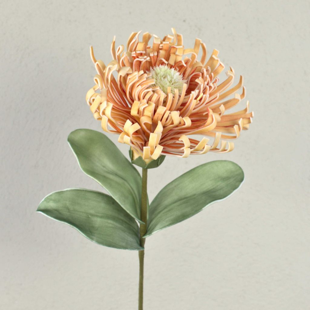 artplants.de Künstliches Nadelkissen Protea ISLARTINA, Creme-Aprikose, 75cm - Schaumstoff Protea