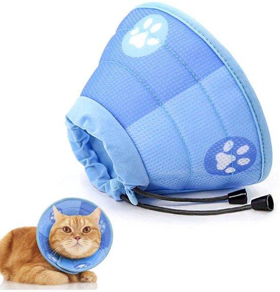 Haustier Kegel Halskrause,für Hunde und Katzen Schutzkragen,Größe M,Katzenhalsumfang 19-22cm, Höhe 11cm.blau