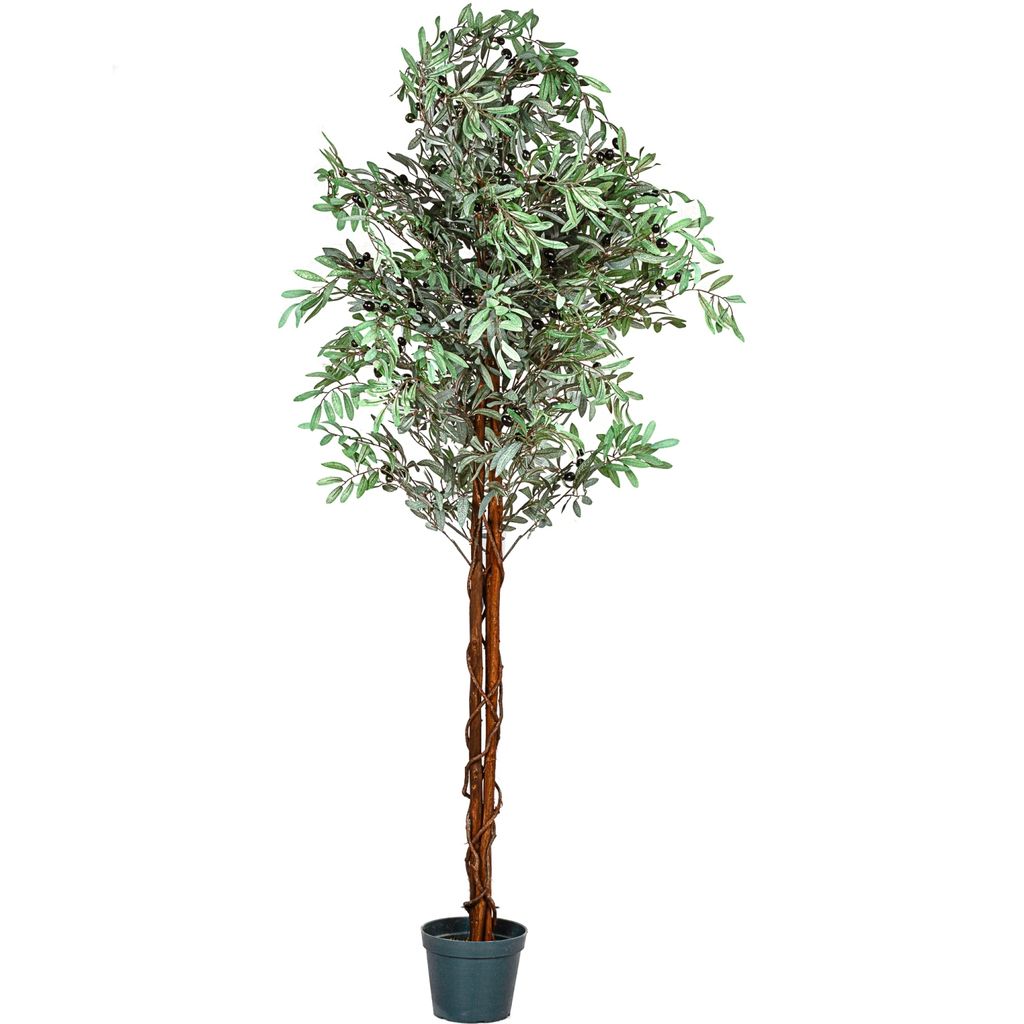 Zimmerpflanze Kunstpflanze Olivenbaum