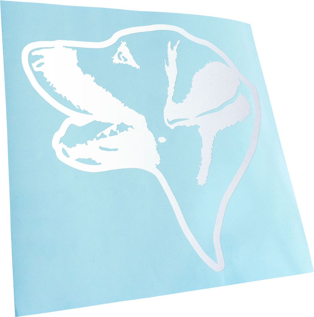 Kiwistar - Autoaufkleber - Chinook Hund - Mattweiss - 50x50cm - Aufkleber für Auto, Laptop, Fahrrad, LKW, Motorrad mehrfarbig JDM Decal Racing