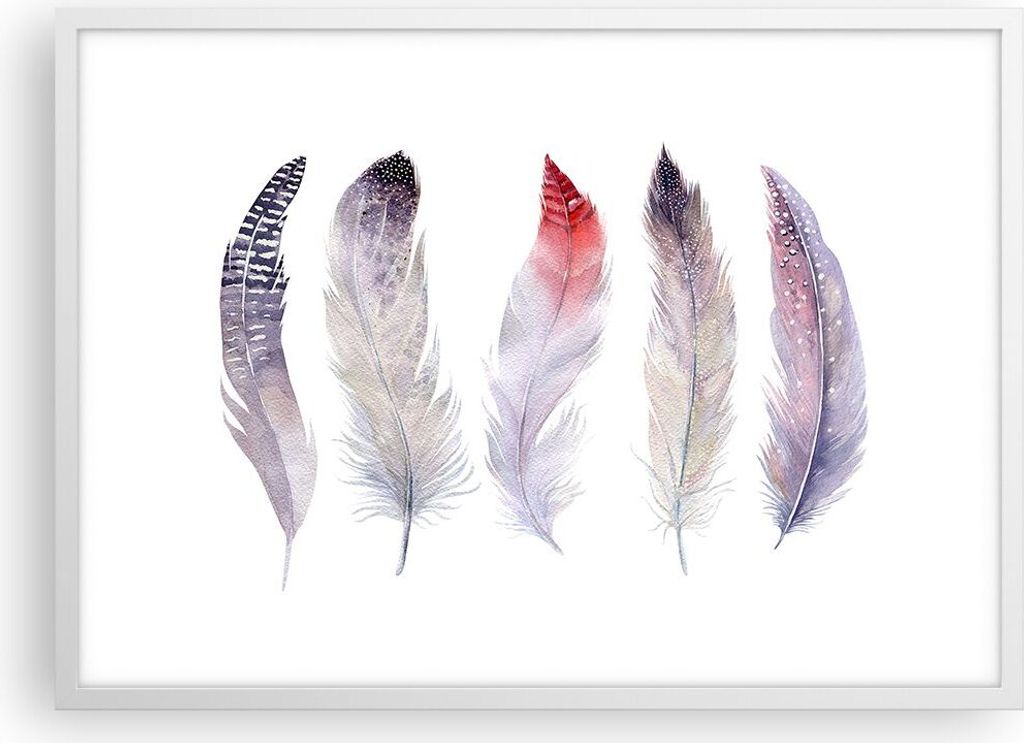 Gerahmtes Poster - Weißer Rahmen - Feder Tier Vogel Komposition - 70x50 cm - Wand Bild - Wanddeko - Wandbilder - Wandposter - Bilderrahmen - Bilde...
