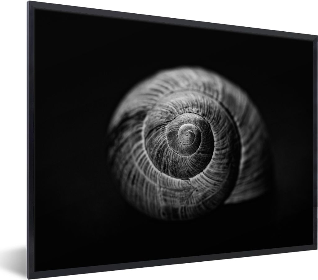 MuchoWow Gerahmtes Poster Schnecke - Tiere - Schwarz - Weiß - Schneckenhaus 80x60 cm - Poster mit Schwarzem Bilderrahmen Wandposter Rahmen Foto ...