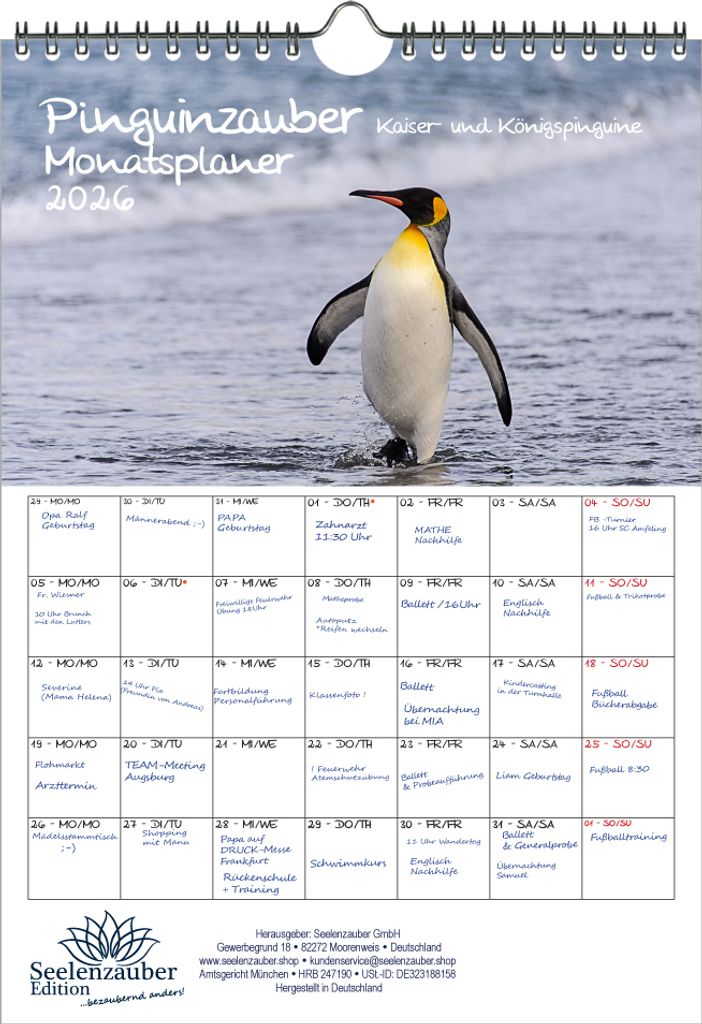 Pinguinzauber Kaiserpinguine Planer DIN A4 Kalender für 2026 Pinguin - Seelenzauber