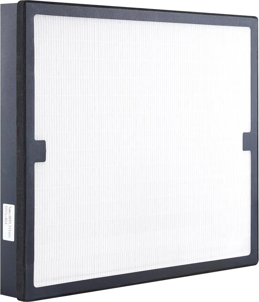 Filtre HEPA pour restauration après dégâts des eaux et purificateur 16x19