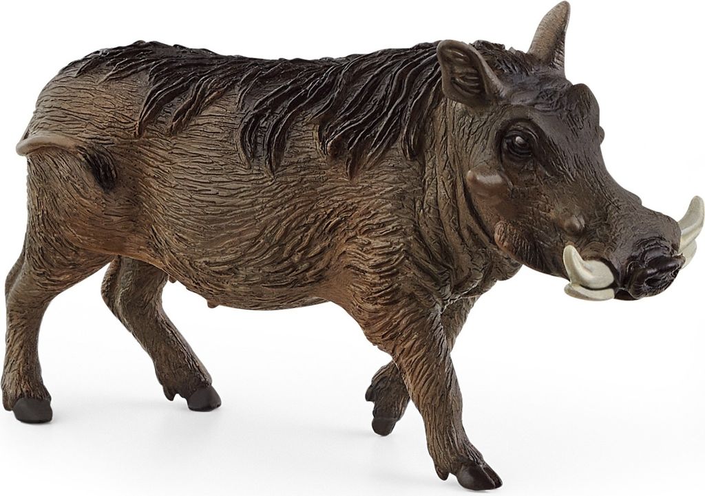 Warzenschwein Produktbild 