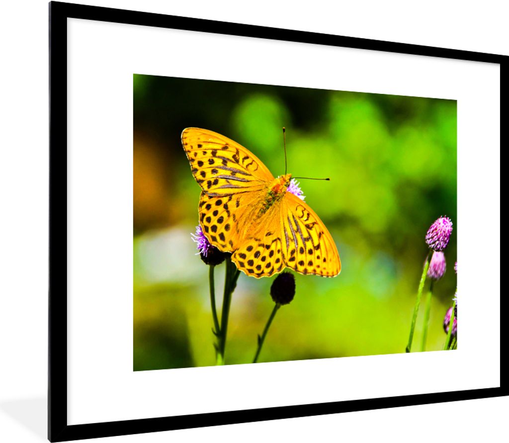 MuchoWow Gerahmtes Poster Schmetterling - Tiger - Blume 80x60 cm - Poster mit Schwarzem Bilderrahmen Wandposter Rahmen Foto Bilder - Schlafzimmer...