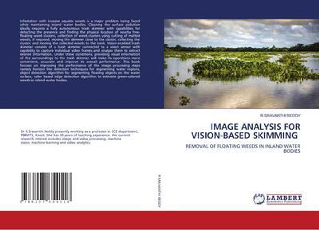 Image Analysis For Vision-Based Skimming